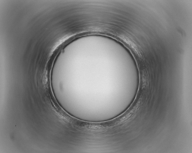 X0000115501070200911201613