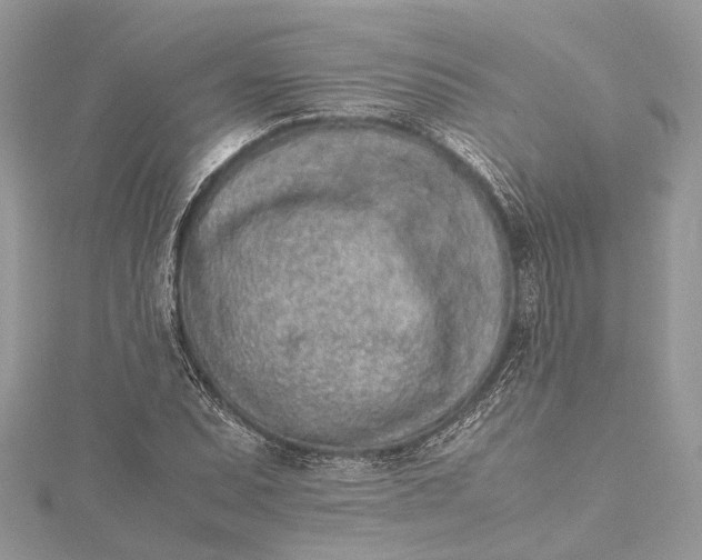 X0000115501071200911201613