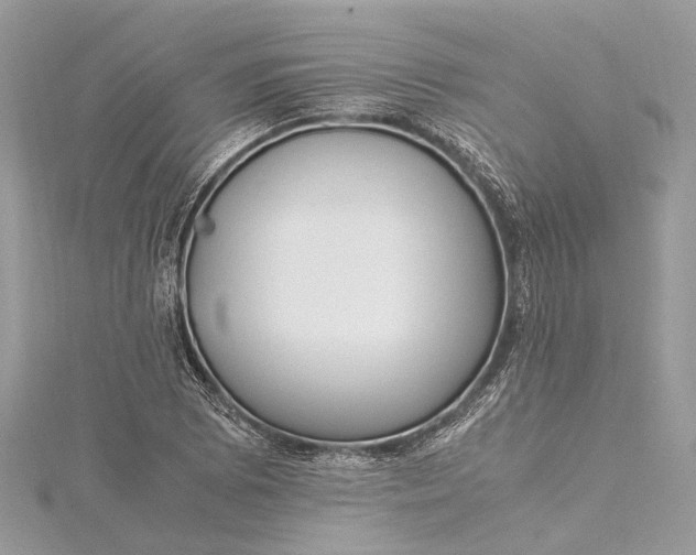 X0000115501073200911201613