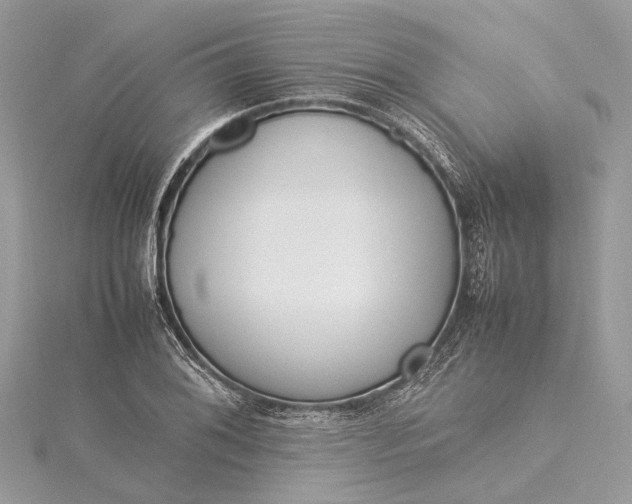 X0000115501076200911201613