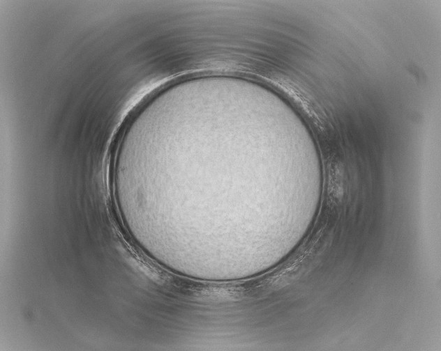 X0000115501078200911201613