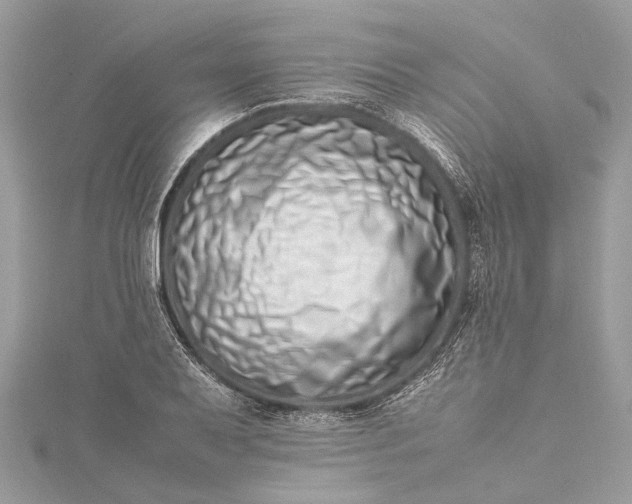 X0000115501079200911201613