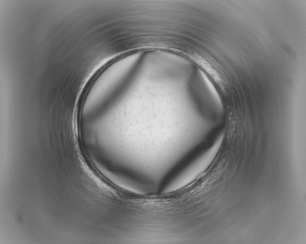 X0000115501084200911201613