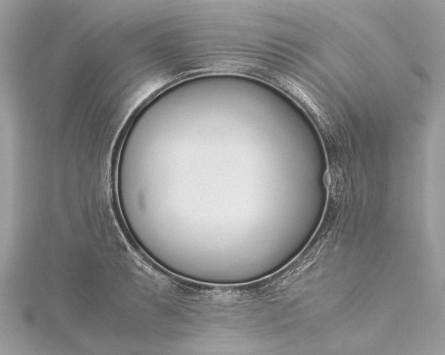 X0000115501087200911201613