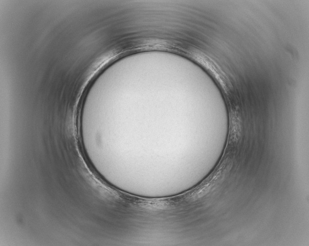 X0000115501090200911201613