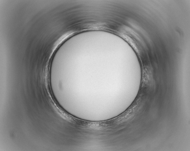 X0000115501098200911201613