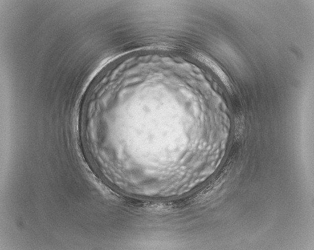 X0000115501099200911201613