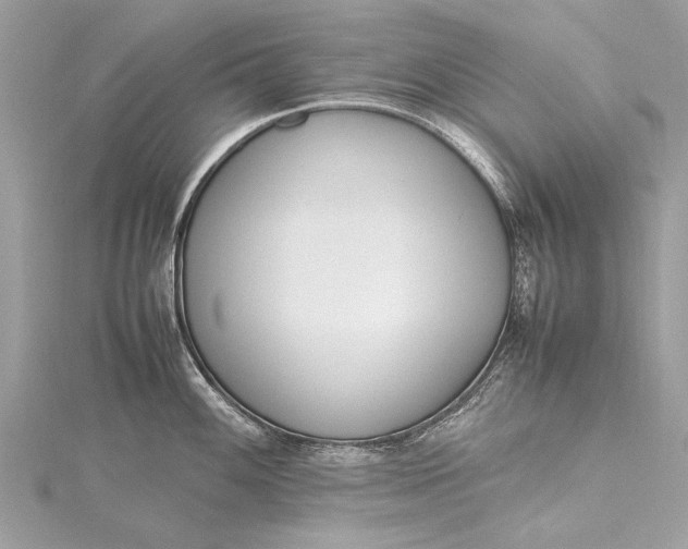 X0000115501100200911201613