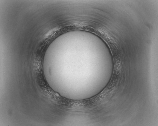 X0000115501110200911201612