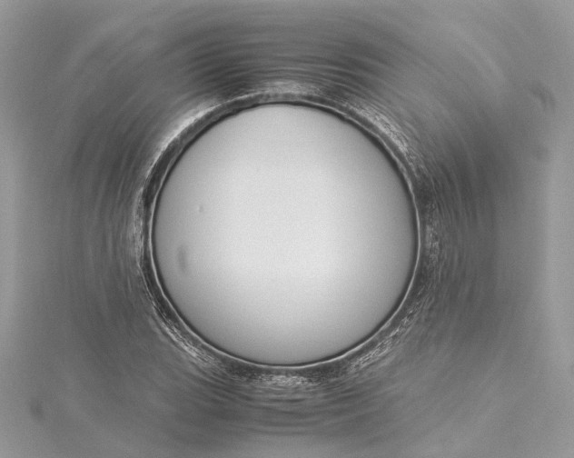 X0000115501119200911201612