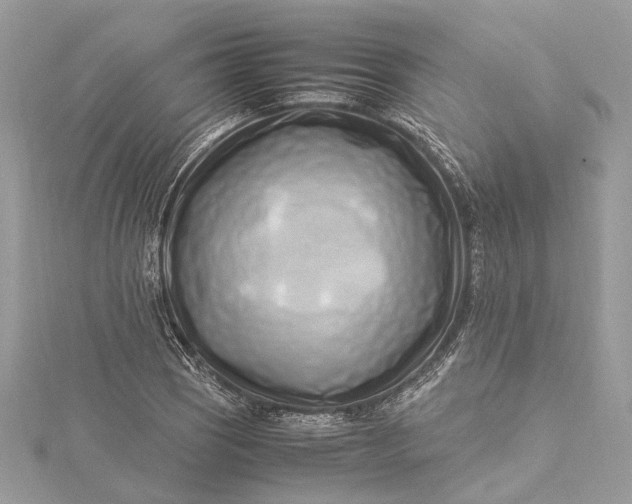 X0000115501121200911201612