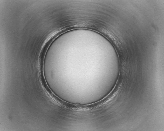 X0000115501122200911201612
