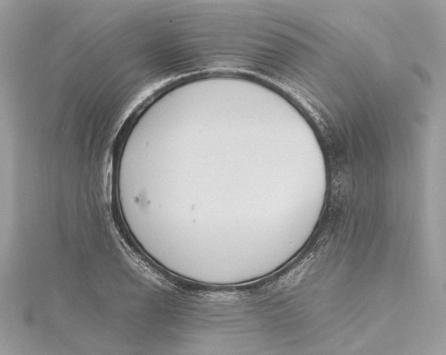 X0000115501126200911201612