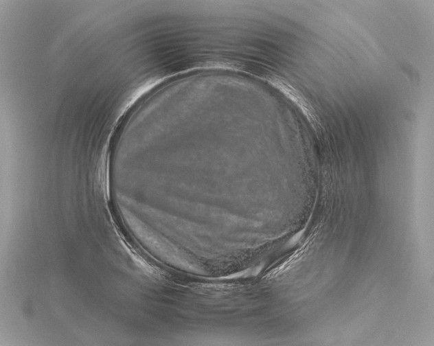 X0000115501127200911201612