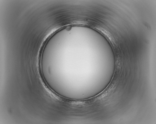 X0000115501135200911201612