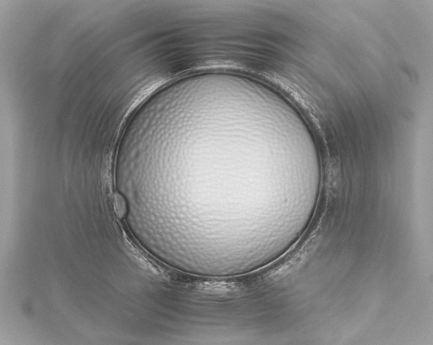 X0000115501137200911201613