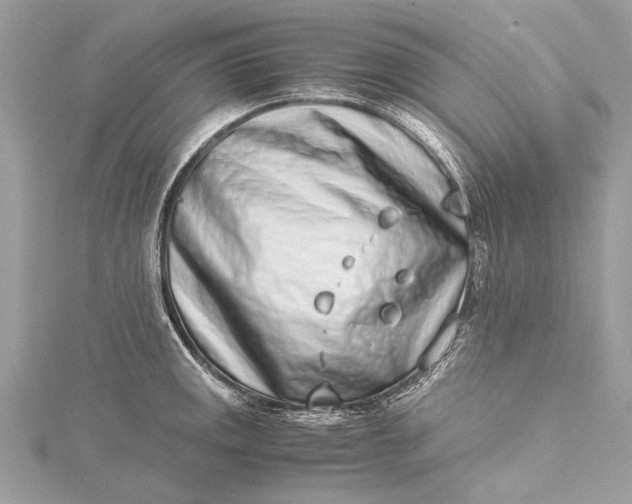 X0000115501141200911201613