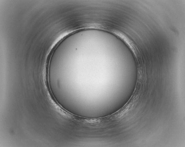 X0000115501147200911201613