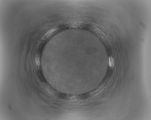 X0000115501155200911201612