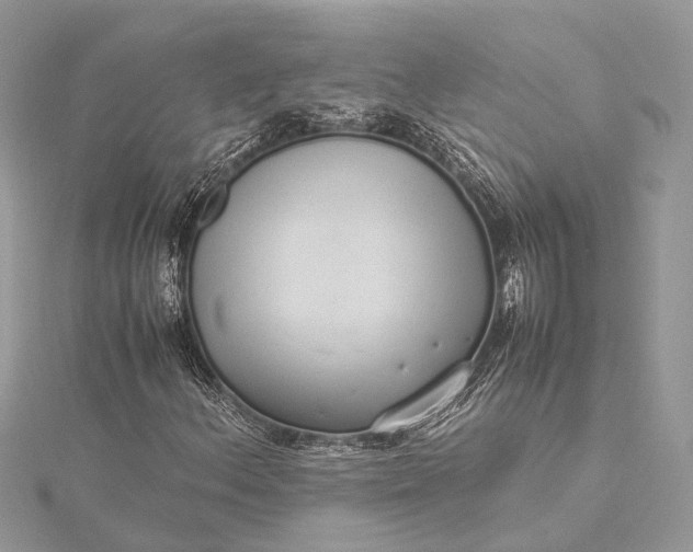 X0000115501156200911201612