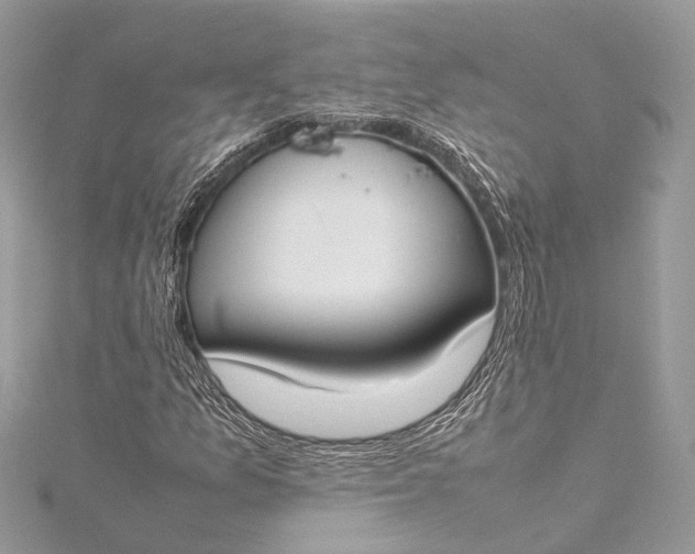 X0000115501157200911201612