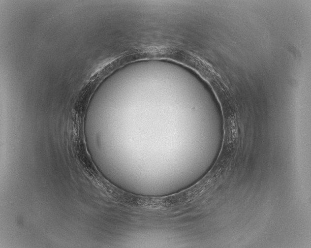 X0000115501158200911201612