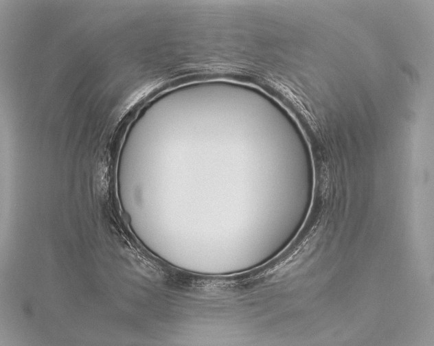 X0000115501163200911201612