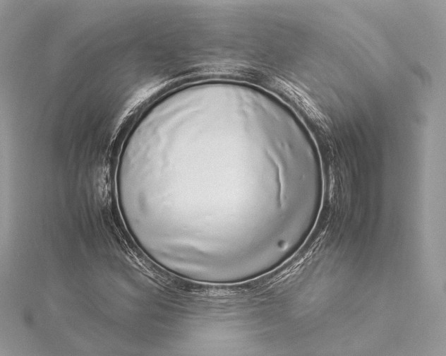X0000115501164200911201612