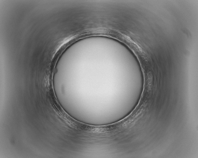 X0000115501166200911201612