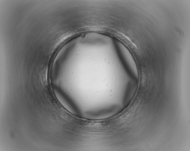 X0000115501174200911201612