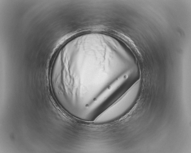 X0000115501176200911201612