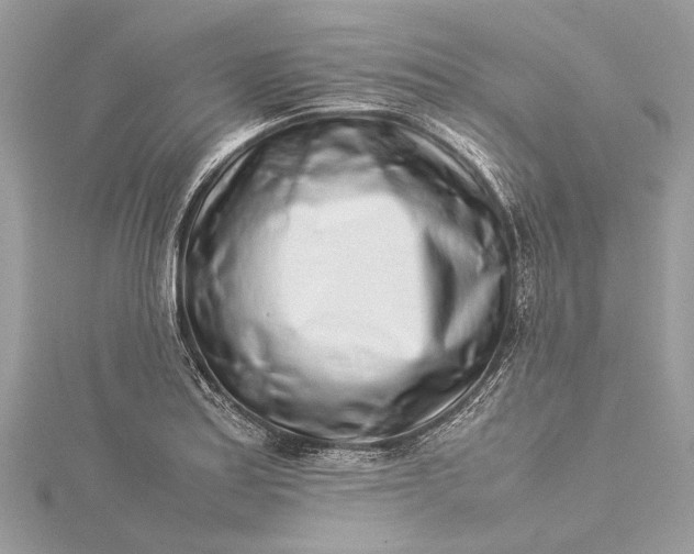 X0000115501179200911201612