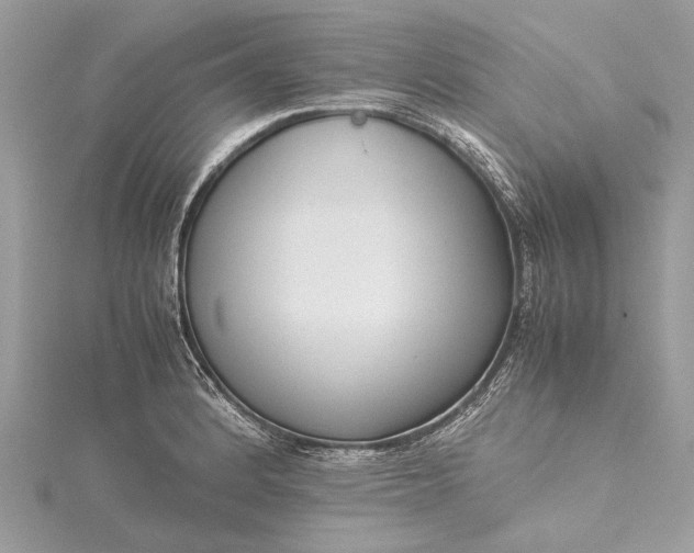 X0000115501184200911201612