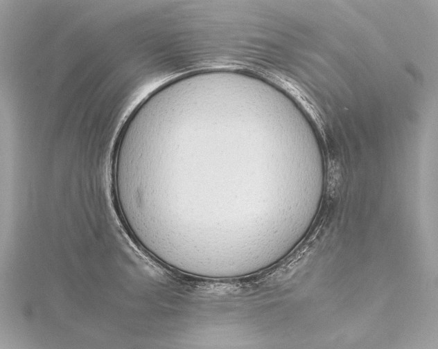 X0000115501187200911201612