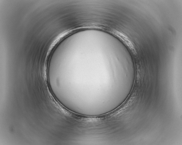 X0000115501188200911201612