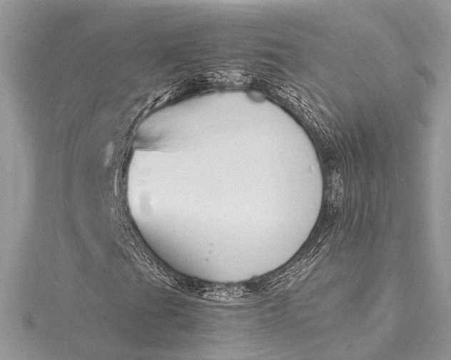 X0000115501201200911201611