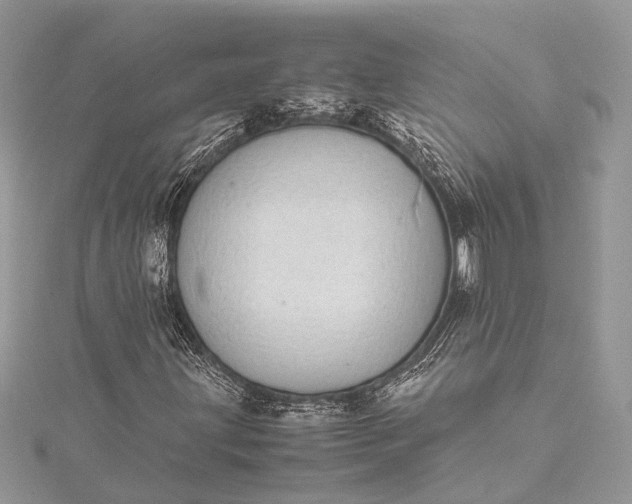 X0000115501203200911201611