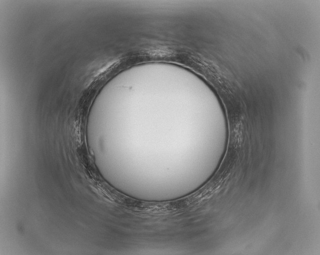 X0000115501205200911201611