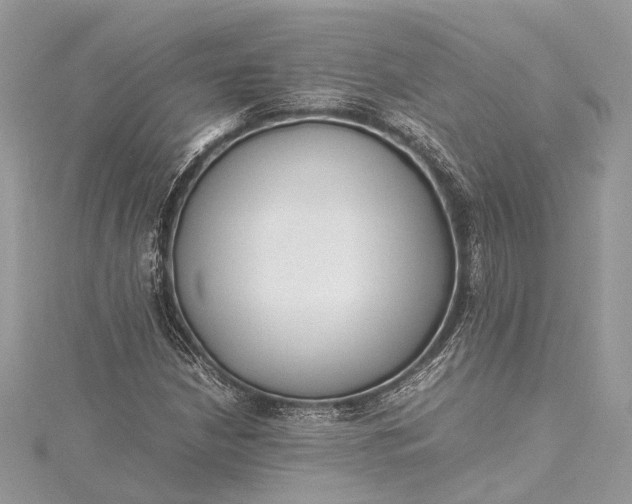X0000115501210200911201611