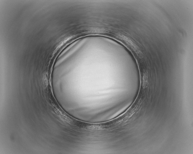 X0000115501212200911201611