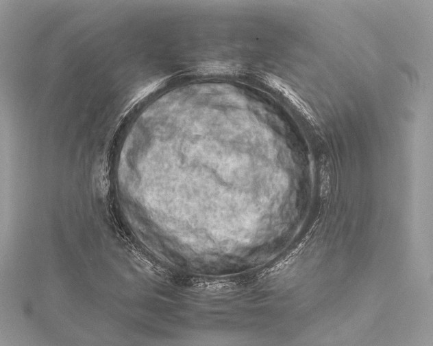 X0000115501213200911201611