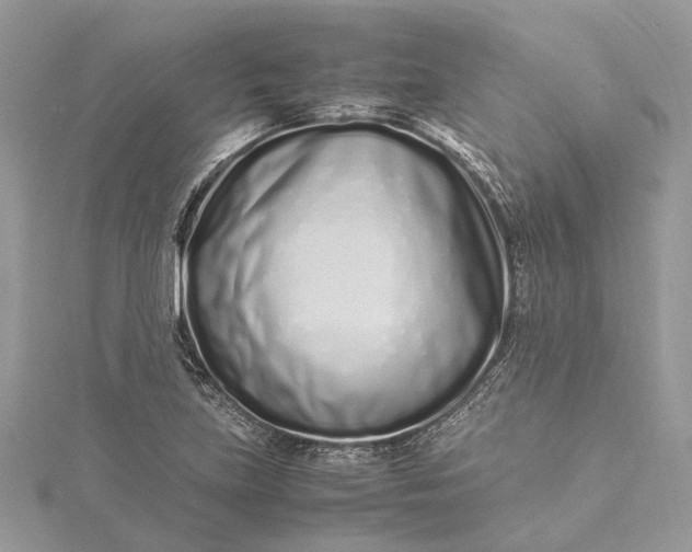 X0000115501219200911201611