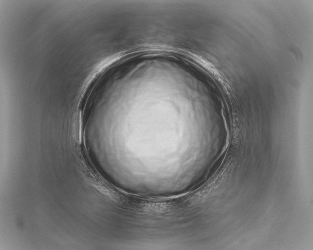 X0000115501223200911201611