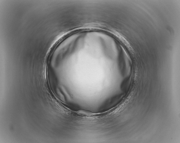 X0000115501224200911201611