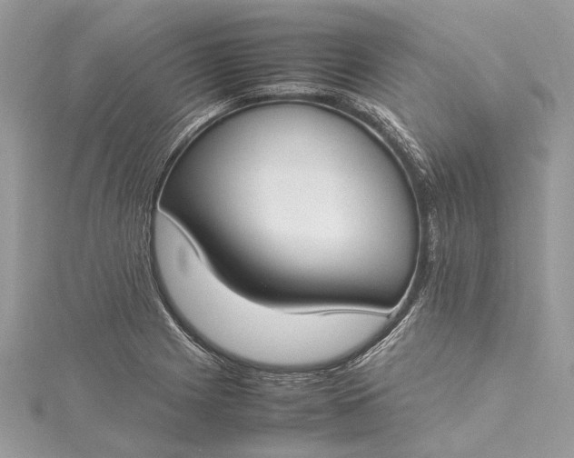 X0000115501225200911201611