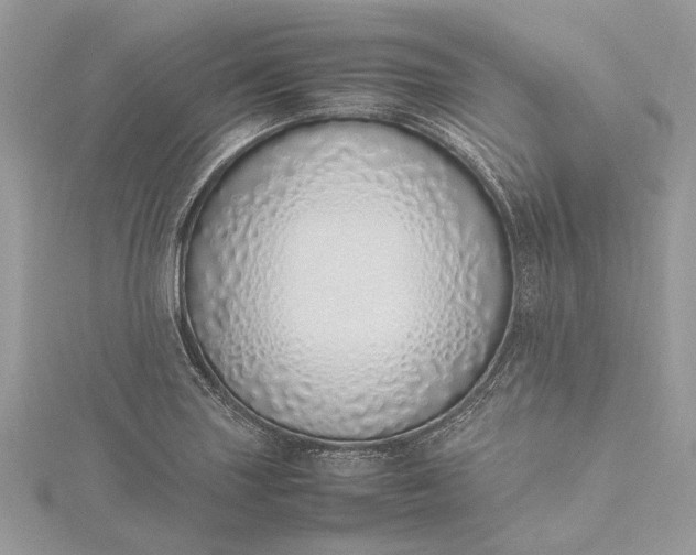 X0000115501227200911201611