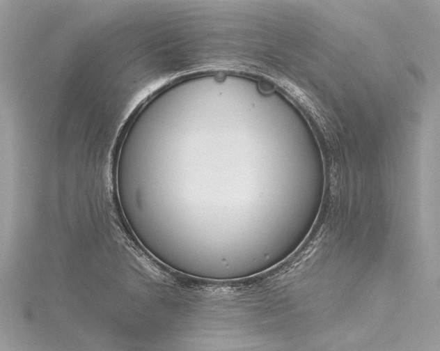 X0000115501230200911201611