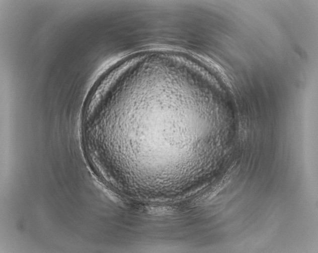 X0000115501231200911201611