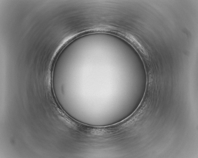 X0000115501232200911201611