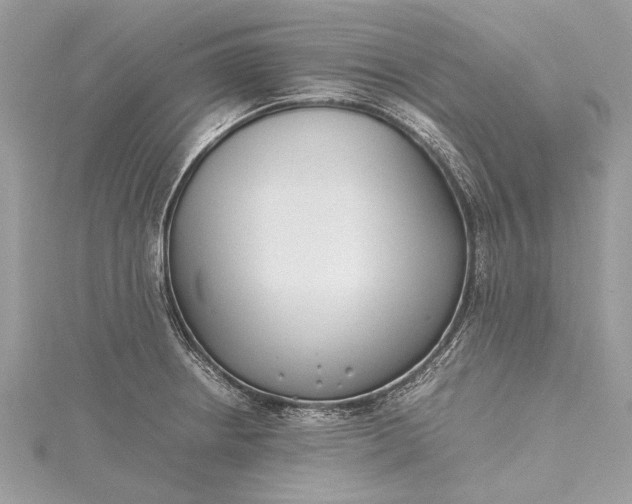 X0000115501234200911201611